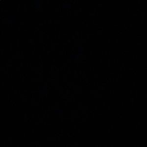 Meet your Posher, Shayla